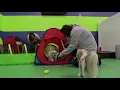 We are Paws Play Full Commercial