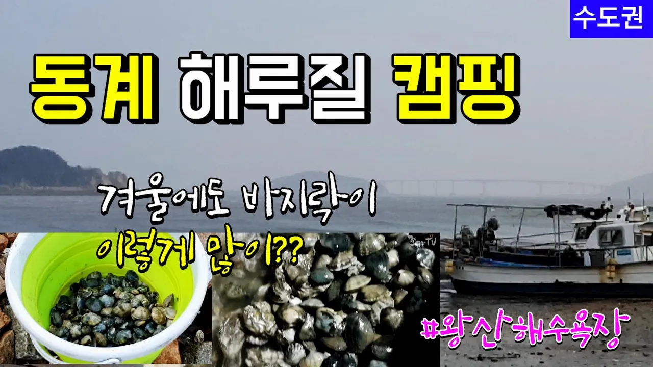 겨울철에도 바자락이 이렇게 많이? |  인천 영종도 왕산해수욕장 무료노지캠핑  |  해루질노지캠핑,거북바위 선녀바위 썸네일