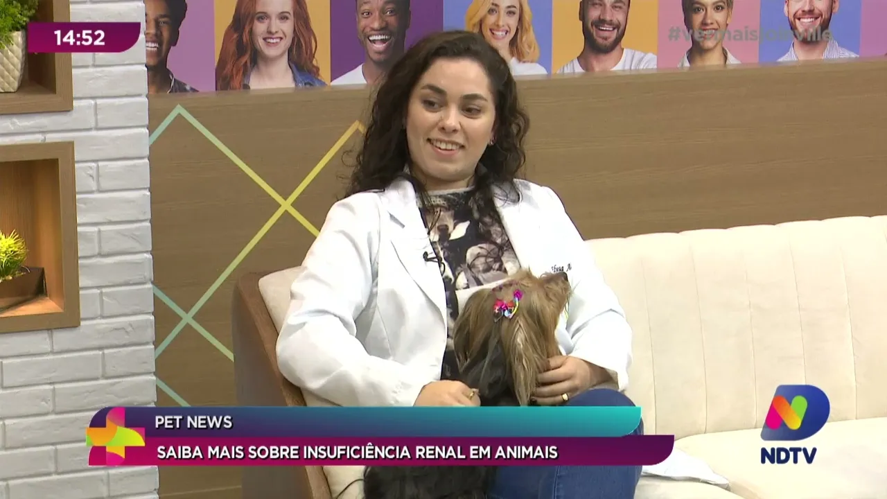 Pet News: saiba mais sobre insuficiência renal em animais