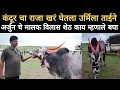 Download Lagu कंदूर च्या राजाची खरंच खरेदी केली का उर्मिला ताईंनी | काय म्हणाले विलास