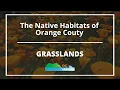 The Native Habitats of Orange County CA - Grasslands