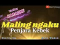 Download Lagu MALING NGAKU PENJARA KEBEK ~ AJENG HERMAWAN ~ KARAOKE TARLING NADA WADON