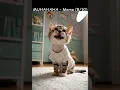 Download Lagu 🗣🐱 MUHAHAHA Meme – Original Edit Audio (U Ha ha ha Cat Version) | #muhahaha #memes #cats #aivideo