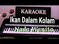 Download Lagu Ikan Dalam Kolam - Karaoke Nada Wanita