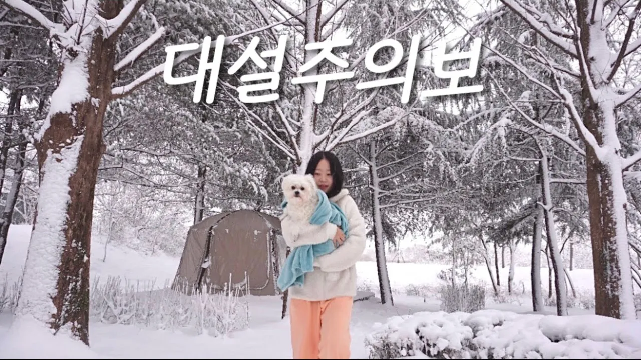 30년 살면서 이런 눈은 처음이에요 | 대설주의보에 캠핑하기 | 솔로 캠핑 | 반려견 동반 | 폭설캠핑 | 동계 좌식 캠핑 | 필굿 에어쉘터 | 광주 시민의숲 야영장 썸네일