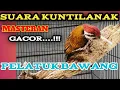 Lagu PELATUK BAWANG GACOR SPEED RAPAT TEMBAK #pelatukbawanggacor #pelatukbawang #pelatuk  #pelatukgacor