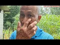 Download Lagu PUKUL 4 PAGI BANGUN DENGAR HUJAN SANGAT LEBAT TURUN // MATA SAKIT TAK DAPAT BUAT KERJA BERAT //