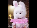 Download Lagu This Member Had Always Kept Her Identity Hidden! 😱 #pinkfantasy #mysterious #kpop #fyp #bts