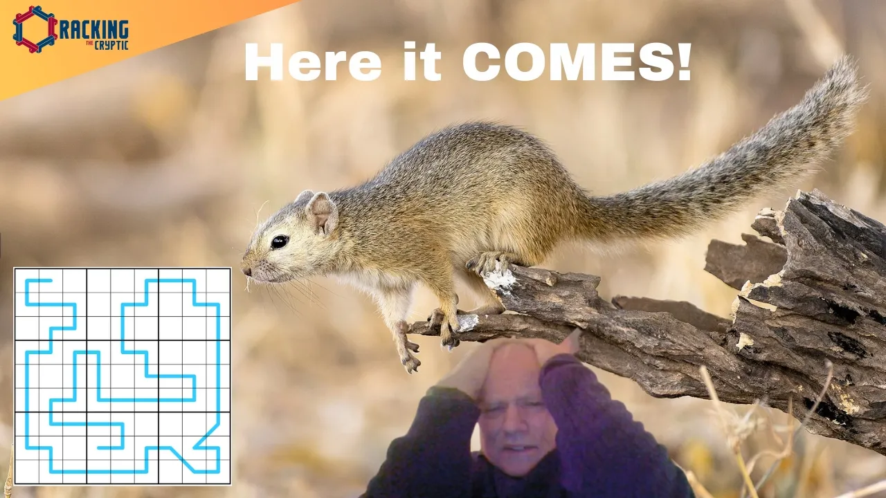 What a Superb Squirrel Puzzle!