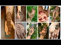 Download Lagu Top 10 Easy Mehndi Designs | Mehndi Designs Photo | Karwa Chauth Mehndi Design Collections | Henna 