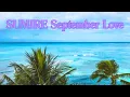 🌴 Ippudo - Sumire September Love 🌊