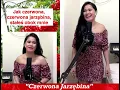 Lagu Czerwona Jarzębina - Filipina Charm (Cover)