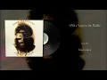 John Hartford - With a Vamp in the Middle (Vinyl Visualizer)