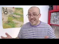 feeble little horse - bitknot ALBUM REVIEW