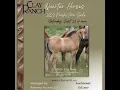 Clay Ranch Quarter Horses Production Sale 2023