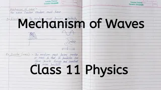 Mechanism of Waves | Chapter 14 | Waves | Class 11 Physics