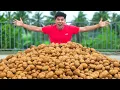 Making Magical Oobleck From 100 Kg Potatoes | ഉരുളക്കിഴങ്ങിൽ നിന്ന് കിട്ടിയ സാതനം കണ്ടാൽ ഞെട്ടും