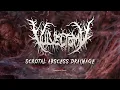 Download Lagu VULVECTOMY 'Scrotal Abscess Drainage' (Visualizer / 2025)