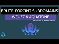 How To Brute Force Subdomains and Automate Web Server Enumeration Using WFuzz and Aquatone