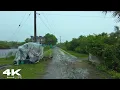 Download Lagu Rain Walks for Stress Relief : Enjoy the Rain Ambience : ASMR Rain Walks for Deep Sleep : No Ads