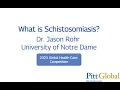 Download Lagu What is Schistosomiasis? Lecture by Dr. Jason Rohr - Global Health Case Competition 2023
