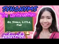 SYNONYMS CONTINUATION lesson 2