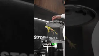 أسطورة الضفدع المغلي 