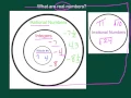 Real Numbers - Classifying