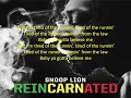 Snoop Lion - Tired of Running (feat. Akon) REINCARNATED screen lyrics