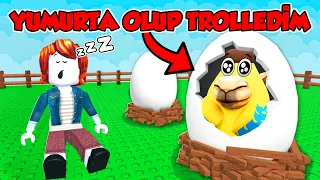 YUMURTA KILIĞINA GİRİP İNSANLARIN PETLERİNİ ÇALDIM!