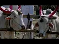 Download Lagu धरणी आईची माया....कशी जाईल वाया...💕