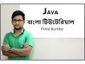 Java Bangla Tutorial For Beginners 19 - A number is Prime or not Practical Part 02