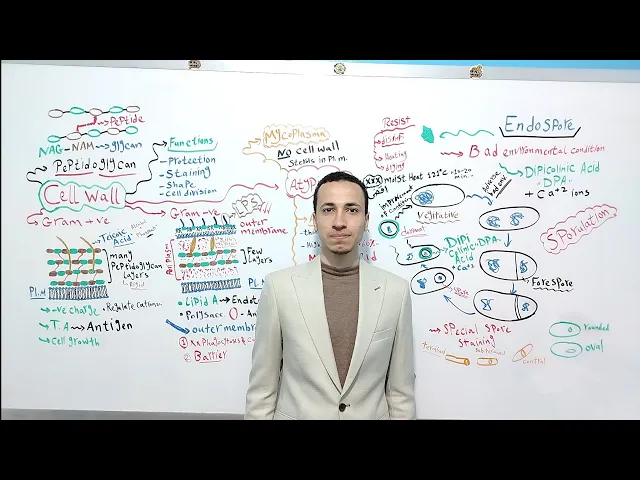 Bacterial Structure part 2 | Dr. Mohamed El Kot