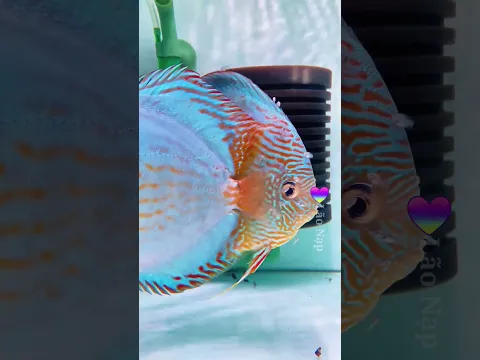 Anh sẽ chịu trách nhiệm