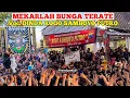 Download Lagu MEKARLAH BUNGA TERATE - Voc. DINDA ROGO SAMBOYO PUTRO