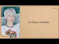 Download Lagu NCT DREAM Never Goodbye Easy Lyrics