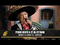 Download Lagu Pedro Bento \u0026 Zé Da Estrada - Amor E A Rosa (El Capiro) - 55 Anos De Sucesso