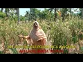 Download Lagu Lagu Daerah Ampana  MONSOU JOLE