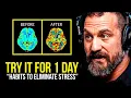 Download Lagu NEUROSCIENTIST: You Will NEVER Be Stressed Again | Andrew Huberman