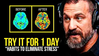 Download NEUROSCIENTIST: You Will NEVER Be Stressed Again | Andrew Huberman MP3