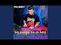 Download Lagu PILIHNDU SAJA AKU
