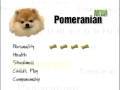 Breed All About It - Pomeranian