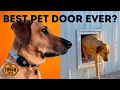 HighTechPet Wifi Powered Pet Door Full Review
