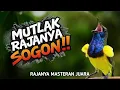 Lagu Ternyata ini rajanya !! MASTERAN SOGON SEKALI NAFAS 5 MATERI ‼️