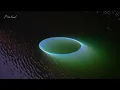 Phoebe Bridgers - Still Standing (Official Lyric Video)