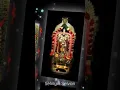 Download Lagu namo namo sri narayana #selviyinselvan #shorts