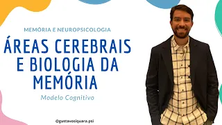 Áreas Cerebrais - Memória e Neuropsicologia - Aula 3 #memória #memóriahumana #neuropsicologia