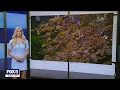 Central Park s new fall foliage map shows where leaves are peaking right now