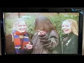 Download Lagu Start and End of Only Fools And Horses Watching the Girls Go By 1998 VHS UK