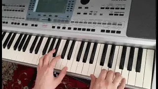 اجرای چند آهنگ زیبای ایرانی با آکاردون و بدون ریتم ارگ نوازی 